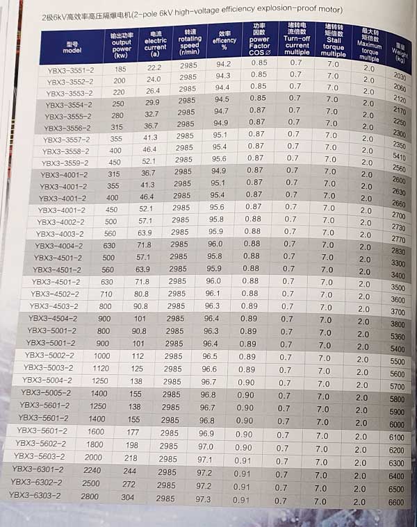 YBX3系列高壓隔爆型三相異步電動機(jī)